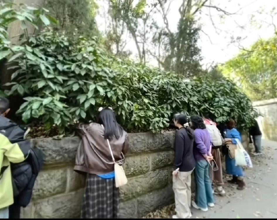 你们都在刘皇叔坟上扒拉什么呢？
笑死了，她们围着那个土堆是刘备的墓，刚开始还以为