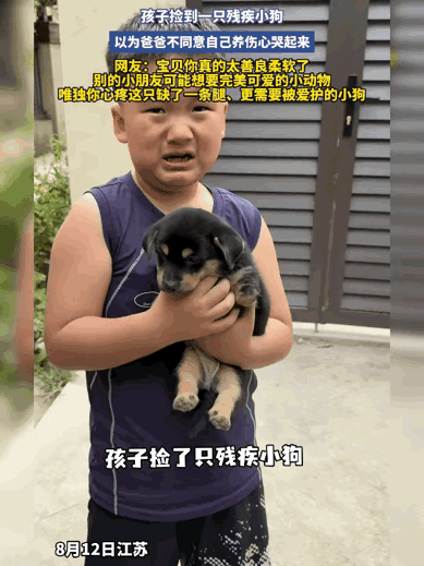 如果是我家孩子捡的小狗，我会同意养着。