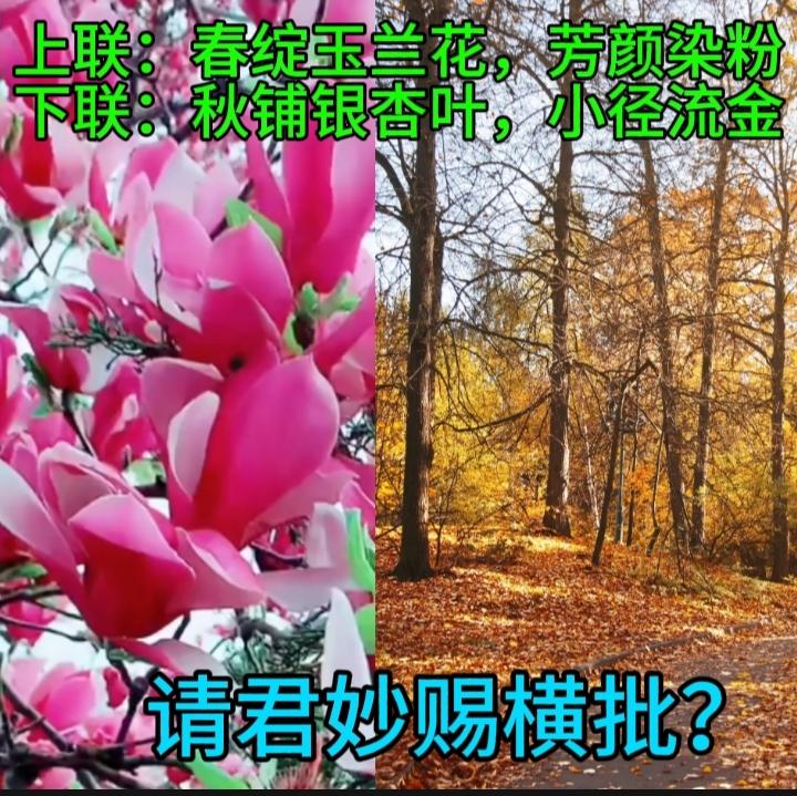 下联：冬去叶成荫
横批：春秋代序