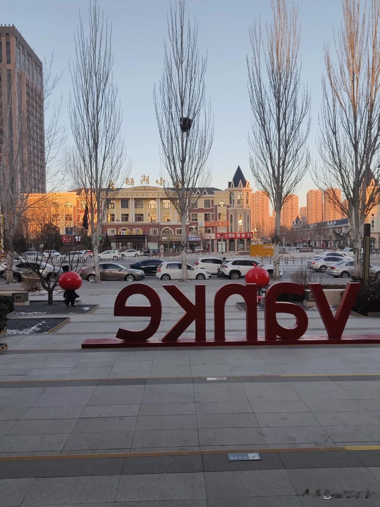 吴忠市鹅喉羚种群调查20241228野外自然观察笔记
出发，“放“羊西山，抬头见