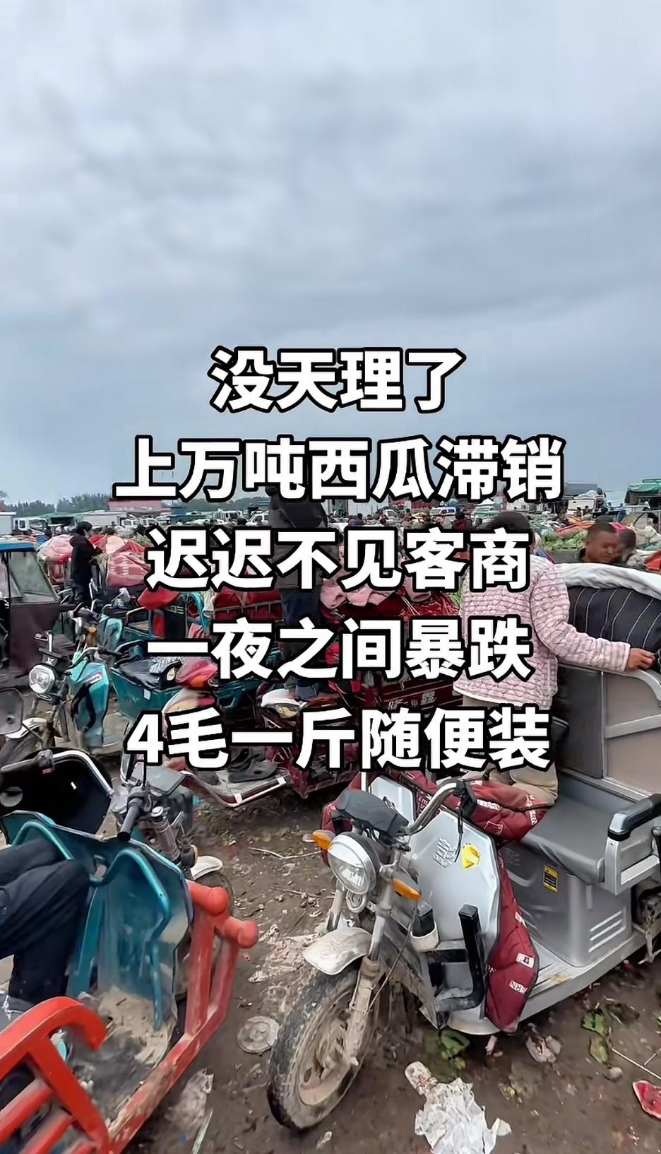 最近经常看到杨梅滞销，樱桃滞销，农民好像很可怜的样子。可是为什么不建冷库呢，我们