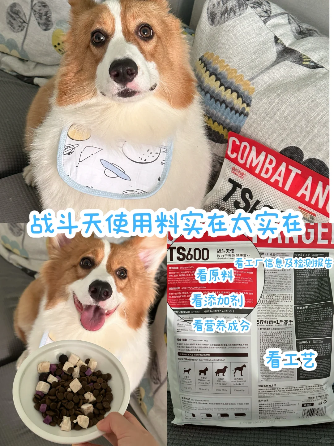 战斗天使用料实在太实在❗