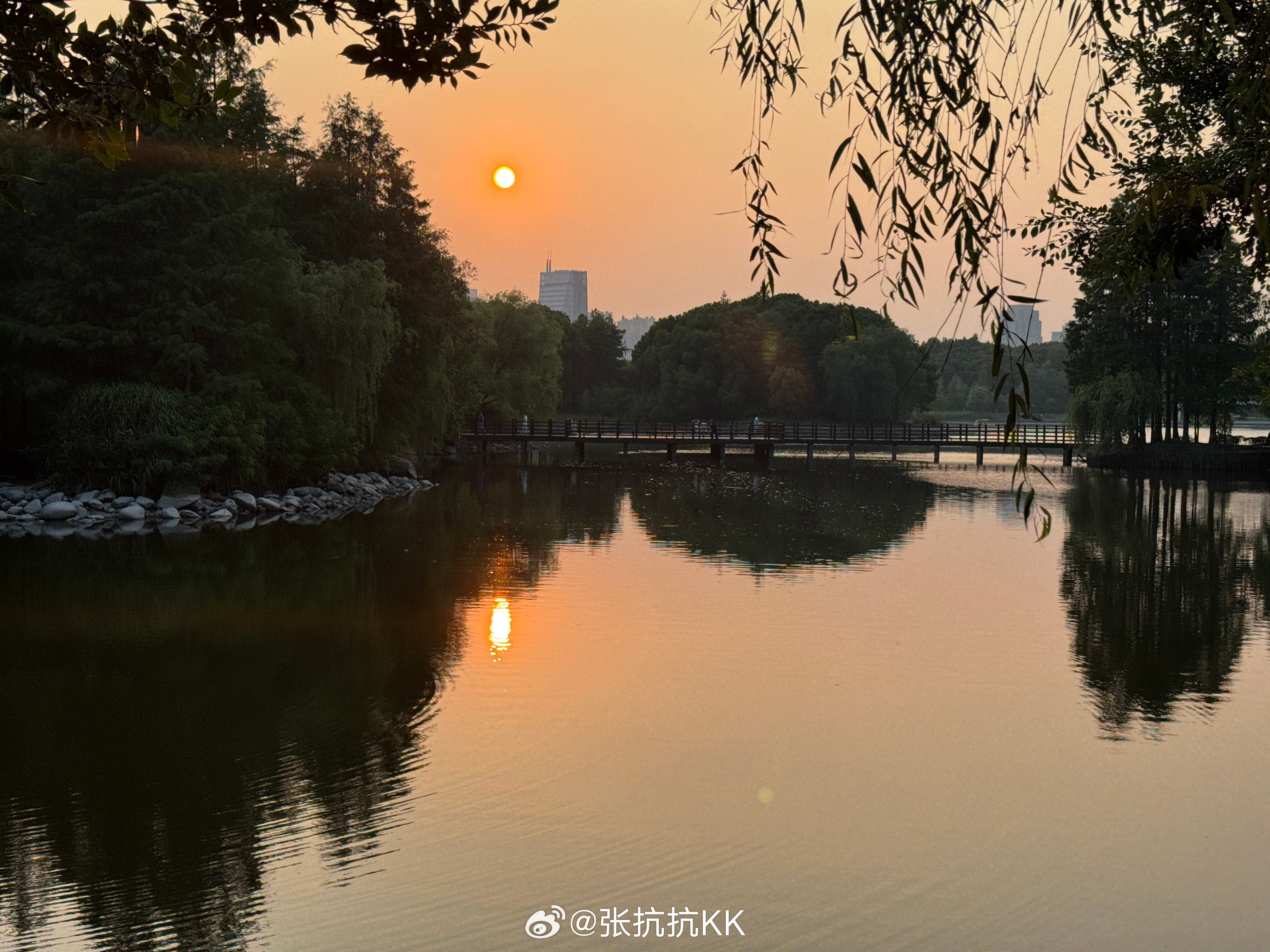 边走边跑10公里。打开实况动图听一听，鸟叫很动听。2026年第74次运动 跑步打