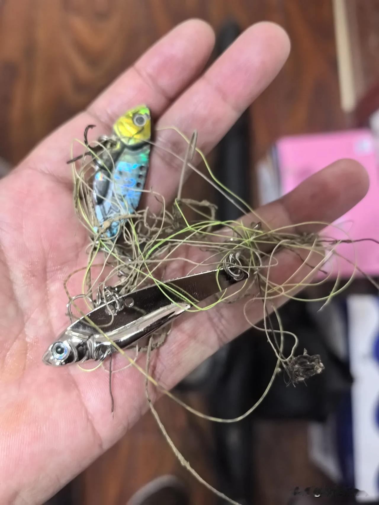 兄弟们哪有鱼吃塑料和铁片啊！我不是去玩路亚的，也不是去钓鱼的，我是去汉江河捡路亚
