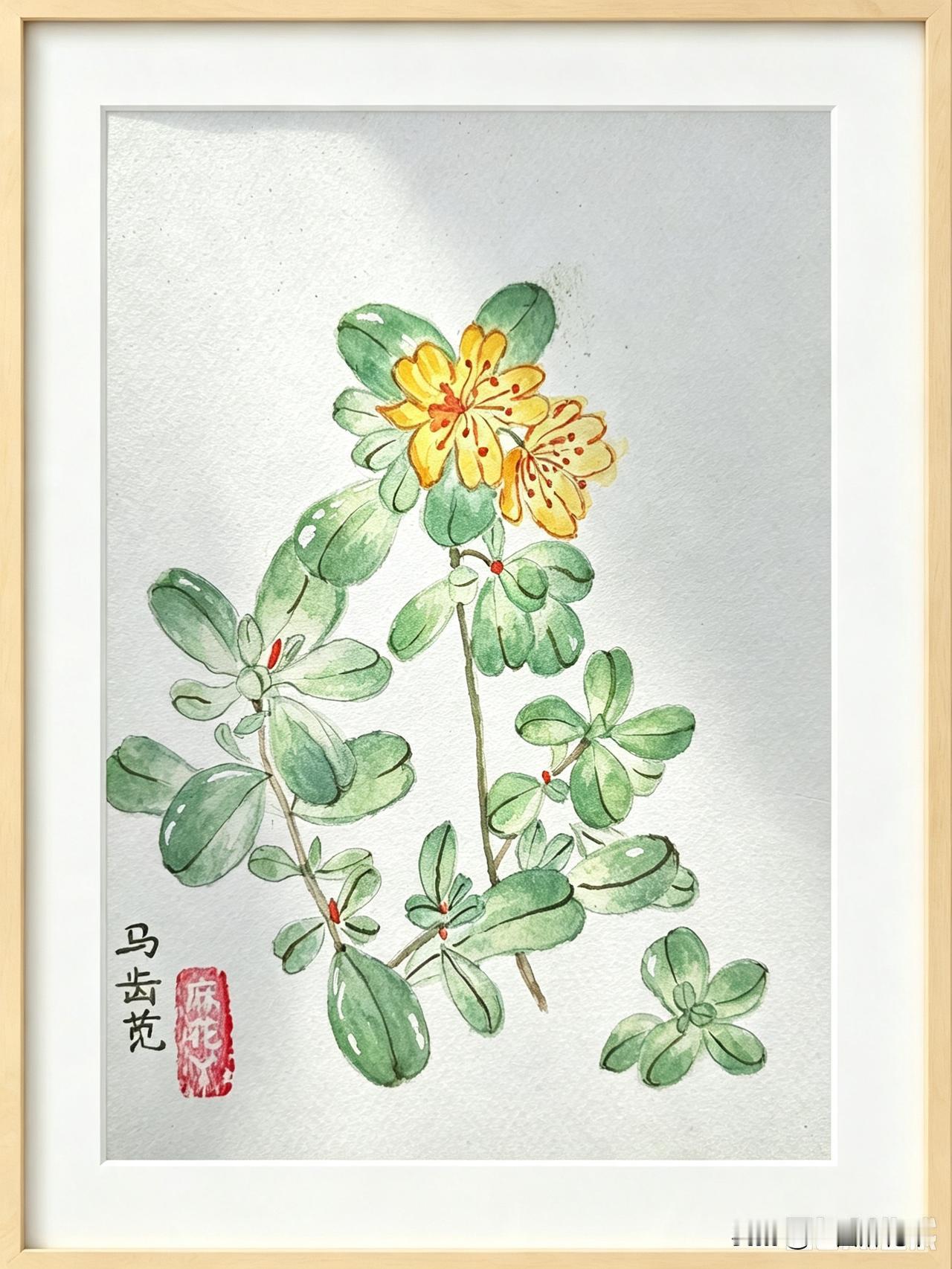岁数大了，啥钱都舍不得花，就看病可舍得了。
那咋整，舍得舍不得，看病都得花，总不