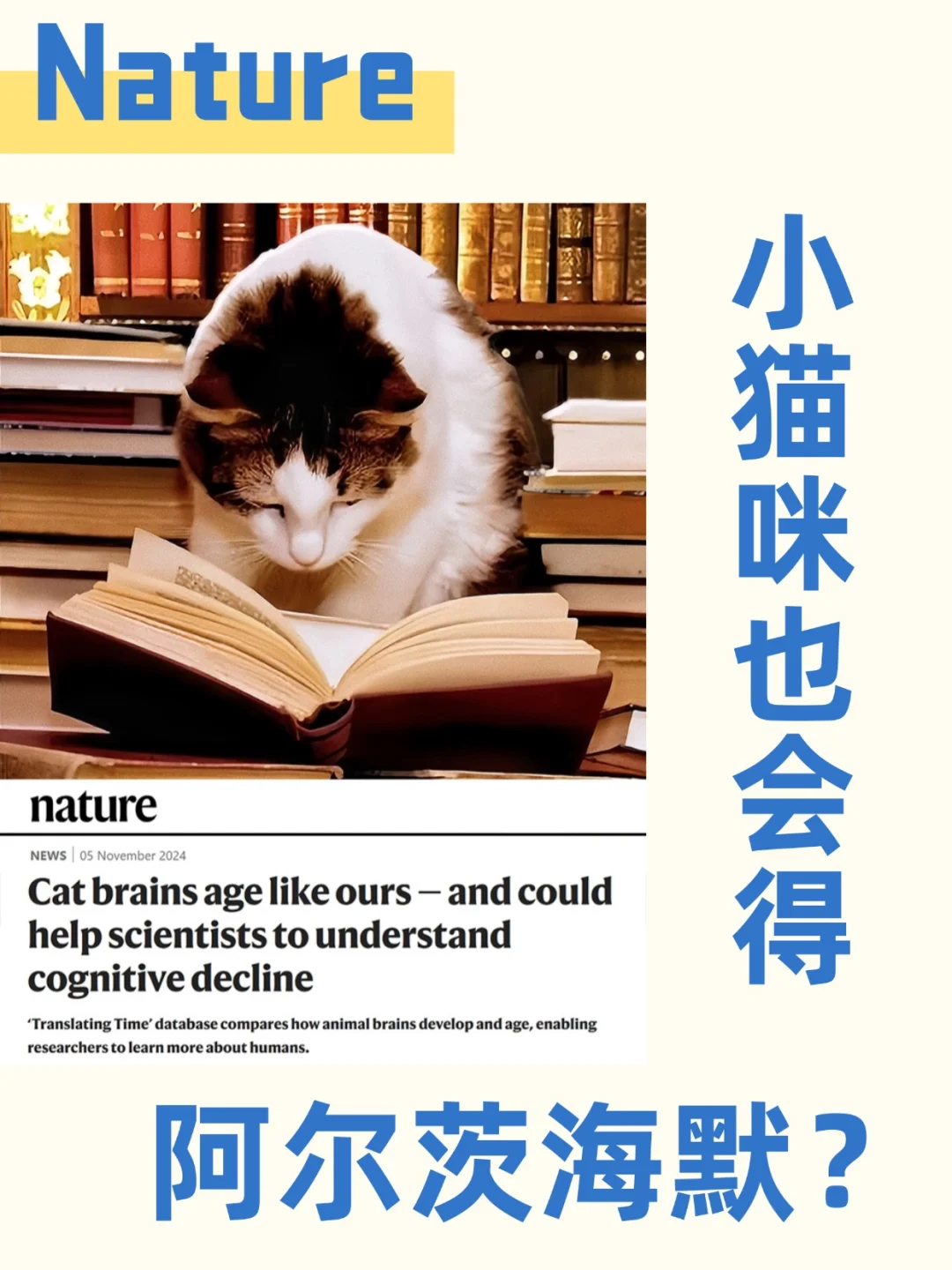 科研趣闻｜Nature：这世界不能没有猫meme
