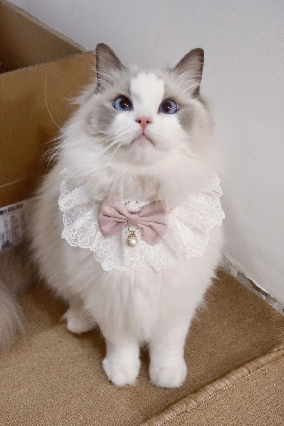 Lulu宝贝4岁生日快乐🎂💕