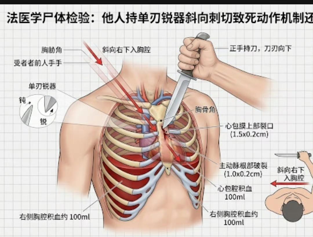本想借这部电影为女罪犯洗白，不料却可能惹上更大的麻烦。

有大博主直接点明：这种