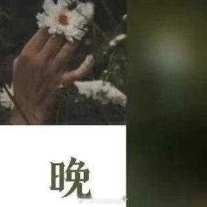 晚安心语 晚风拂面，人间温柔，所有的忙碌都在此刻落幕。愿你枕着星光入眠，醒来皆是