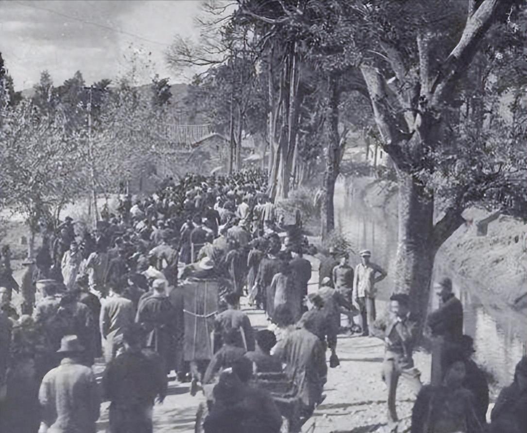 1937年的南京，血色浸透了整座古城。漫天硝烟里，枪炮声、哭喊声、惨叫声交织在一