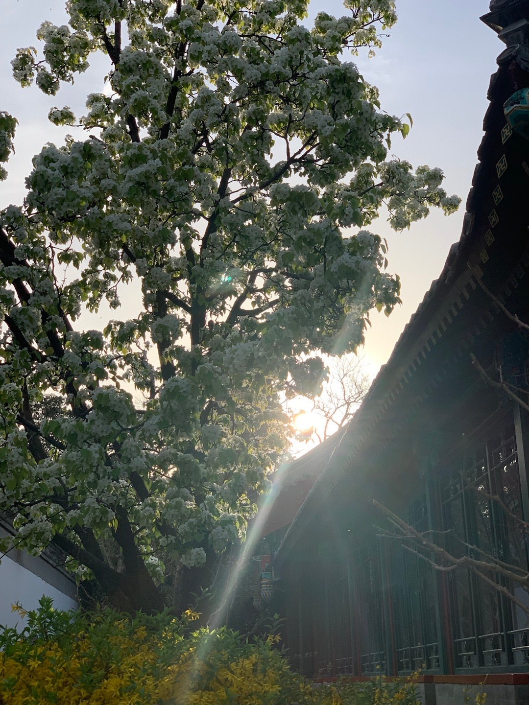 喜欢早晨的风 🌸 ​​​