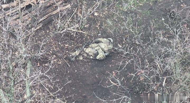 俄军在乌克兰的土地上 