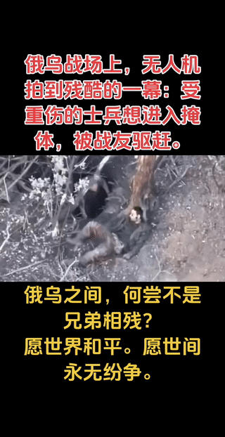 俄乌战场上的残酷一幕！
一名受伤的士兵想钻进战壕里躲避无人机的袭击！
但是战壕口