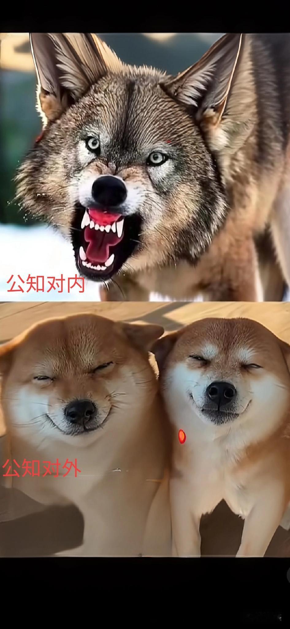 西方文明值得学习吗有文明应当学，但西方的强盗史，可学的不多，爱迪生都造假，有几个