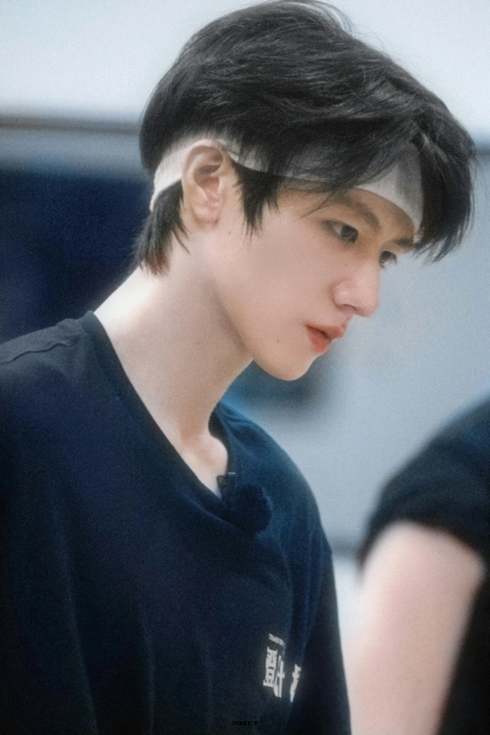 应该在影视里演白月光  专栏 · 芝心～