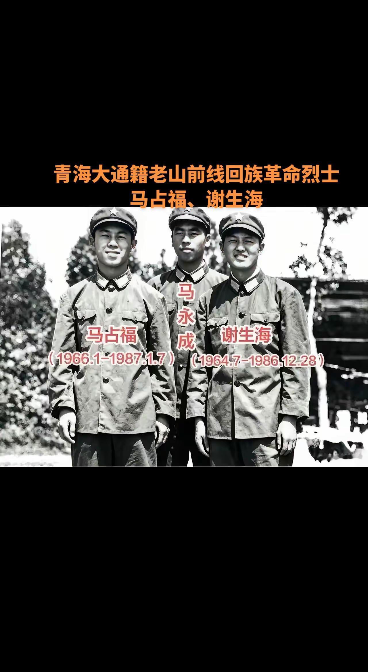 青海回族革命烈士老山战役 麻栗坡烈士墓