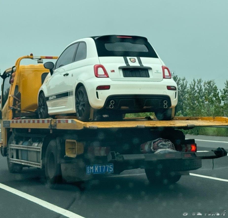 今天在高速上看到了一辆暴力小蝎子🇮🇹，是谁这么有品味，在这个智能化的浪潮中坚
