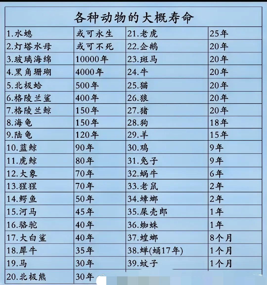 各种动物的基本寿命一览
海龟有200年寿命，陆龟能活150年
猫有20年寿命、北