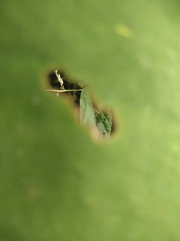 剧中没有刻意制造“全员恶人”，不局限于类型框架，而是通过生活细节，让人性在复杂的