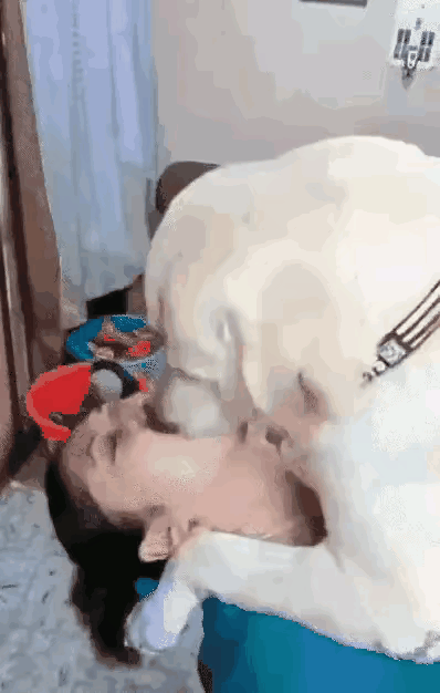 离狂犬病不远了！！！