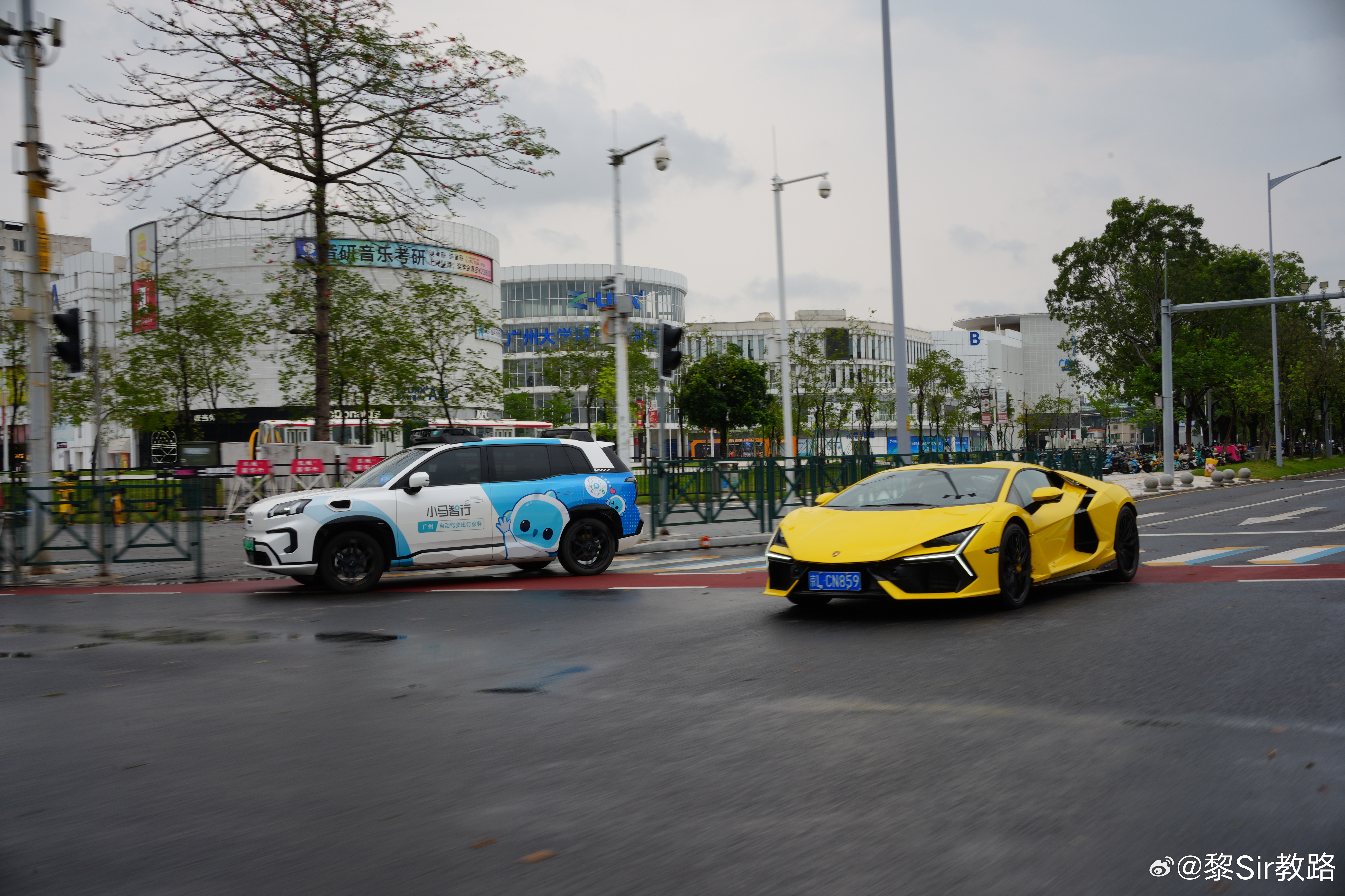 我们都是同类，因为有一个物种叫做牛马区别在于，一个不用驾驶，一个渴望驾驶。既然如