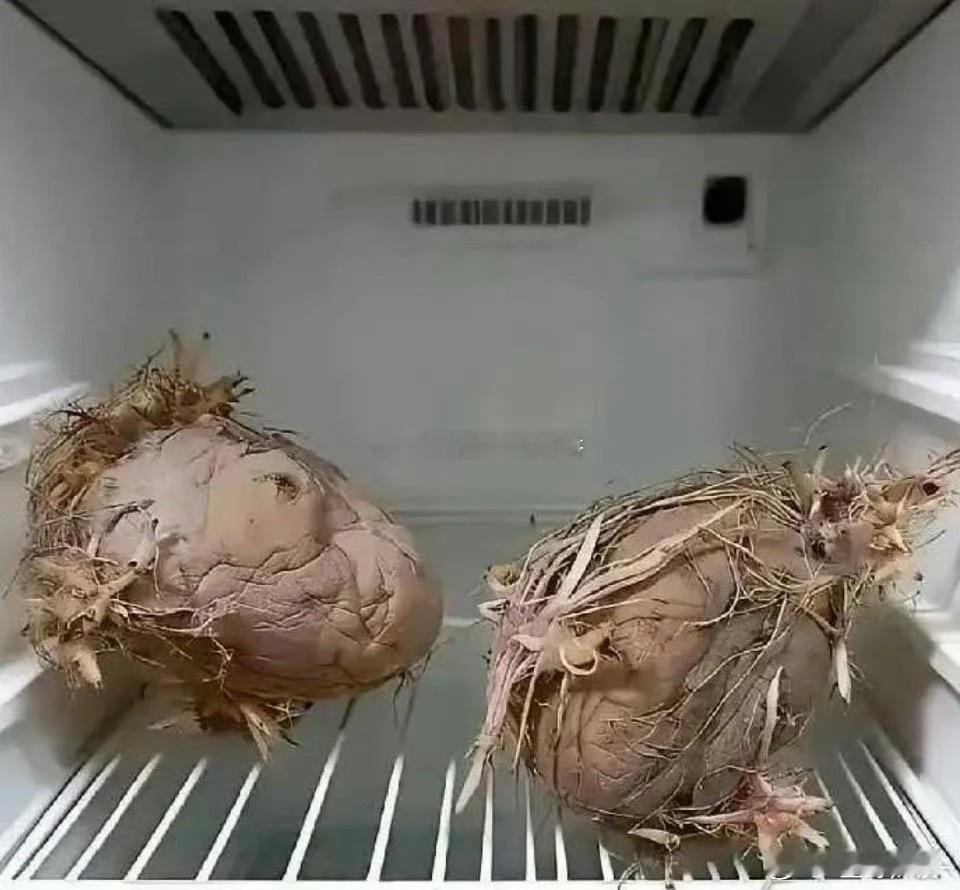 老一辈就是节约，殊不知电费都比这些贵 