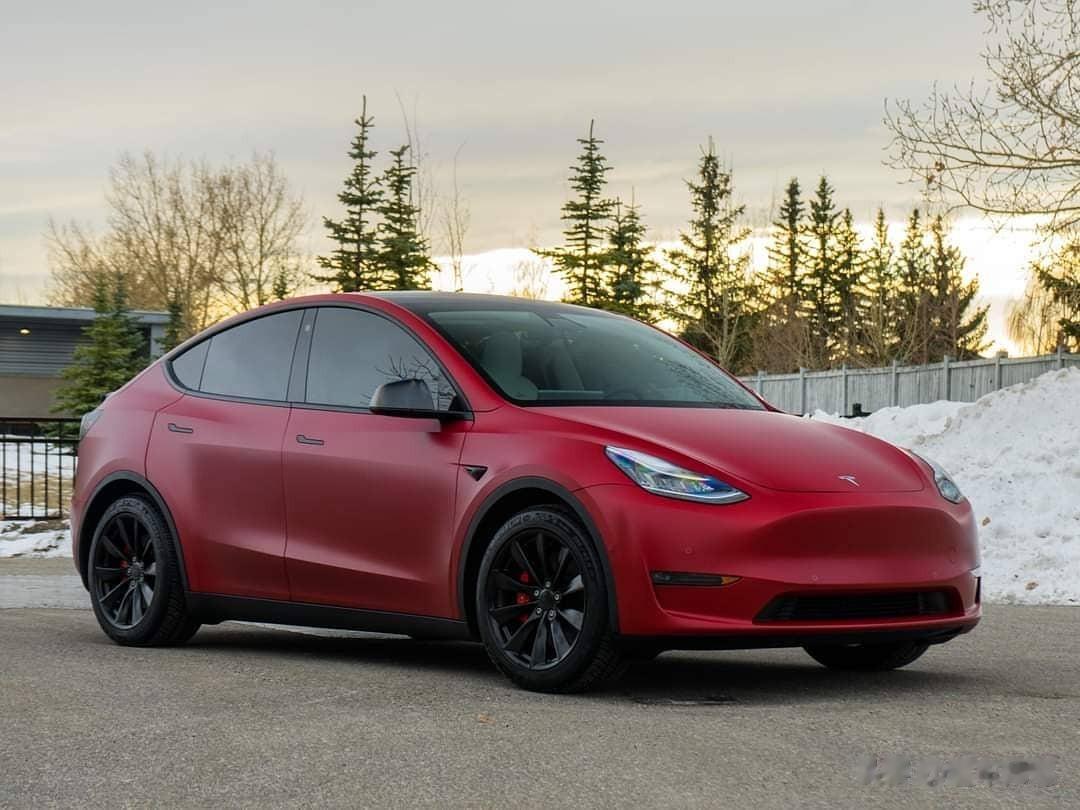  203932辆！SUV领域独一档！上半年的特斯拉Model Y，可以说是顺风顺
