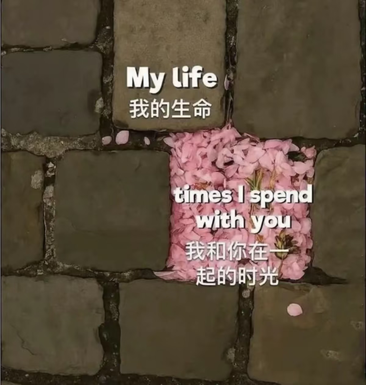 带着一切美好迈向新月❤️ ​​​