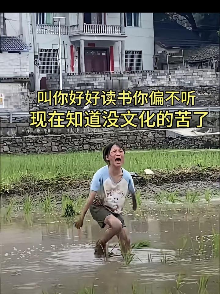 笑哭!网上刷到的一个视频，这位小女孩不努力读书，被父母叫去农田插秧，结果干的直接