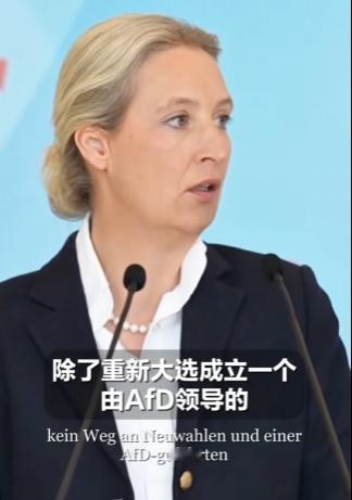 爱丽丝·魏德尔最近好像又老一些了，看起来这个另类选择党的党首不好当啊。

德国图
