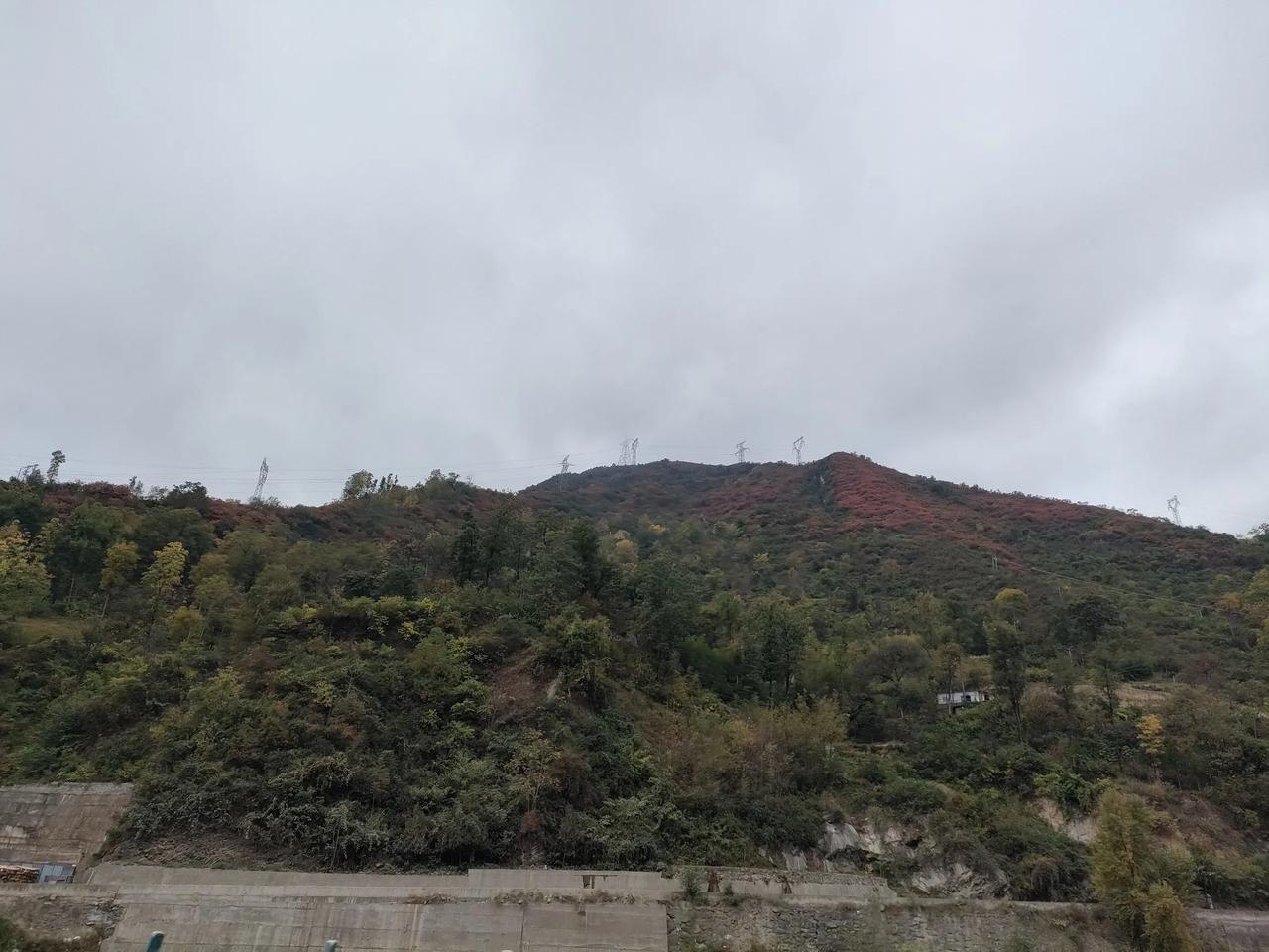  红叶是生命轮回的句号，一个周期结束的标志。