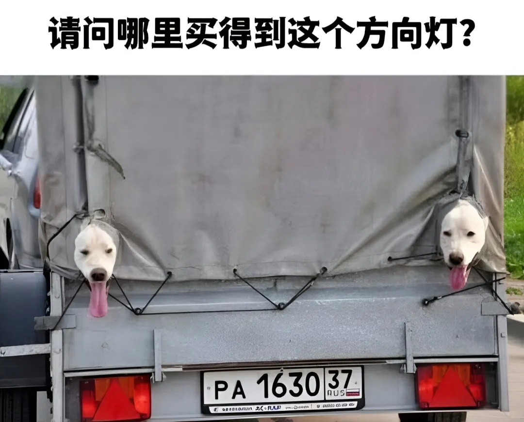 [二哈][二哈]memes ​​​