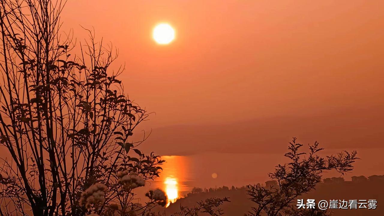 现在才发现
不想把孩子养成仇人，
就不要给他太多。物质上的满足不要太多，满足孩子