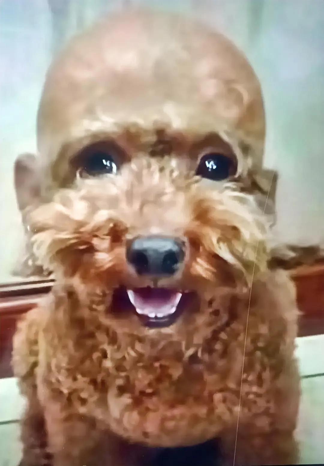 小俗事（36）

从被确诊以来，已经经历了不知道多少次化疗，每一次都像是一场残酷