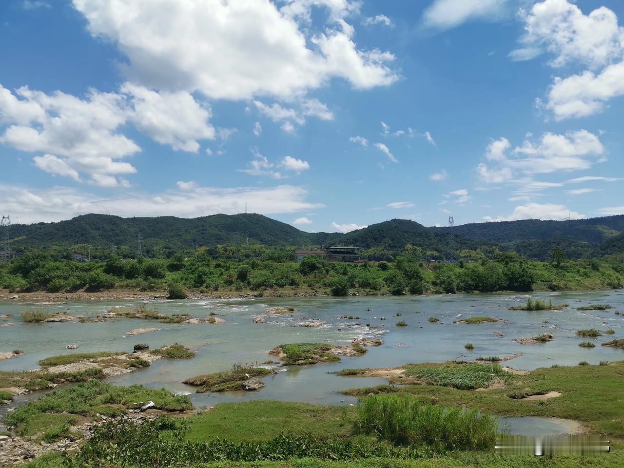 #上联：春去花辞树，诚邀下联#夏来水舔山