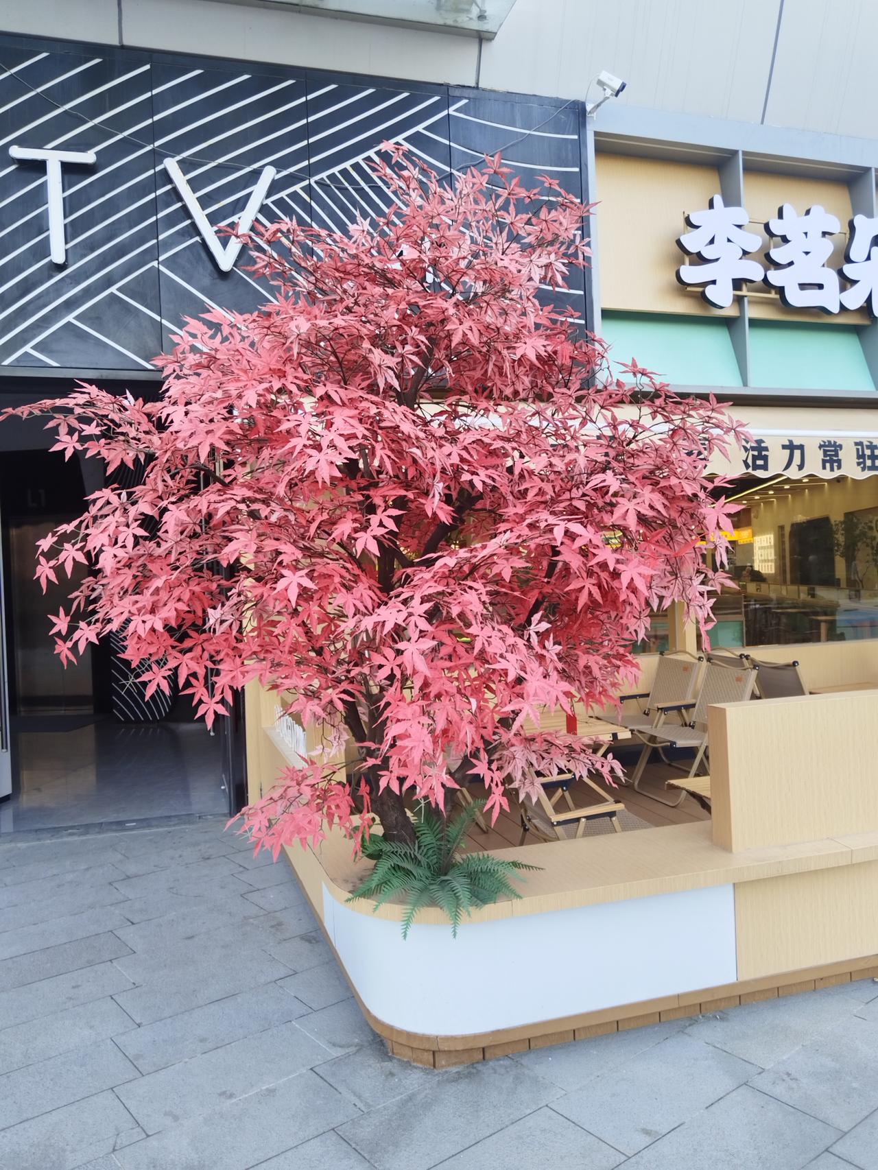 这个树做的挺逼真，以为是个真的靠近一看不是