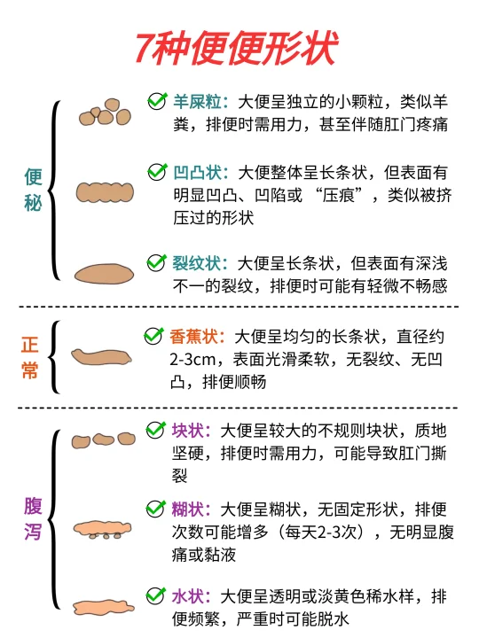 便秘别硬扛❗这份科学应对指南请收好……