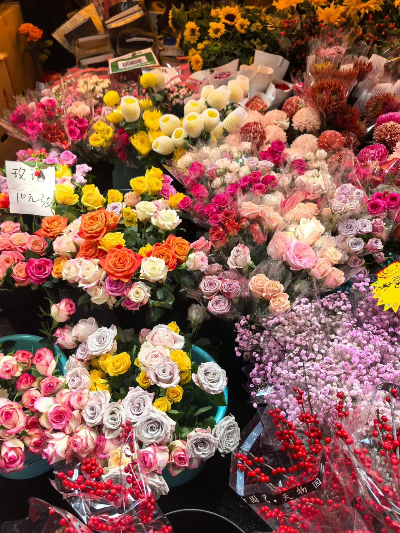 除夕之夜，漫步热闹花街，灯火与繁花相映，年味在烟火气里缓缓流淌。
一盆盆年花娇艳