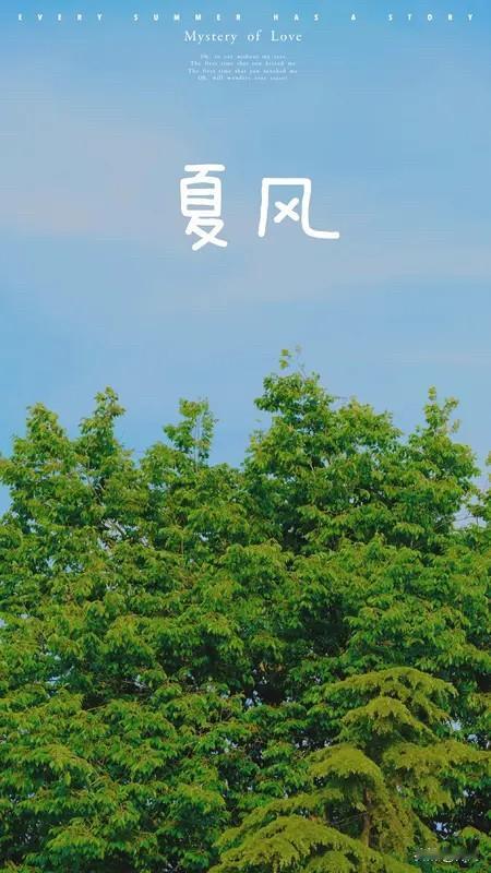 【西江月•盛夏薰风】
盛夏熏风入巷，一朝绿树迎蝉。
寻凉避暑坐屋檐，静煮时光品坦