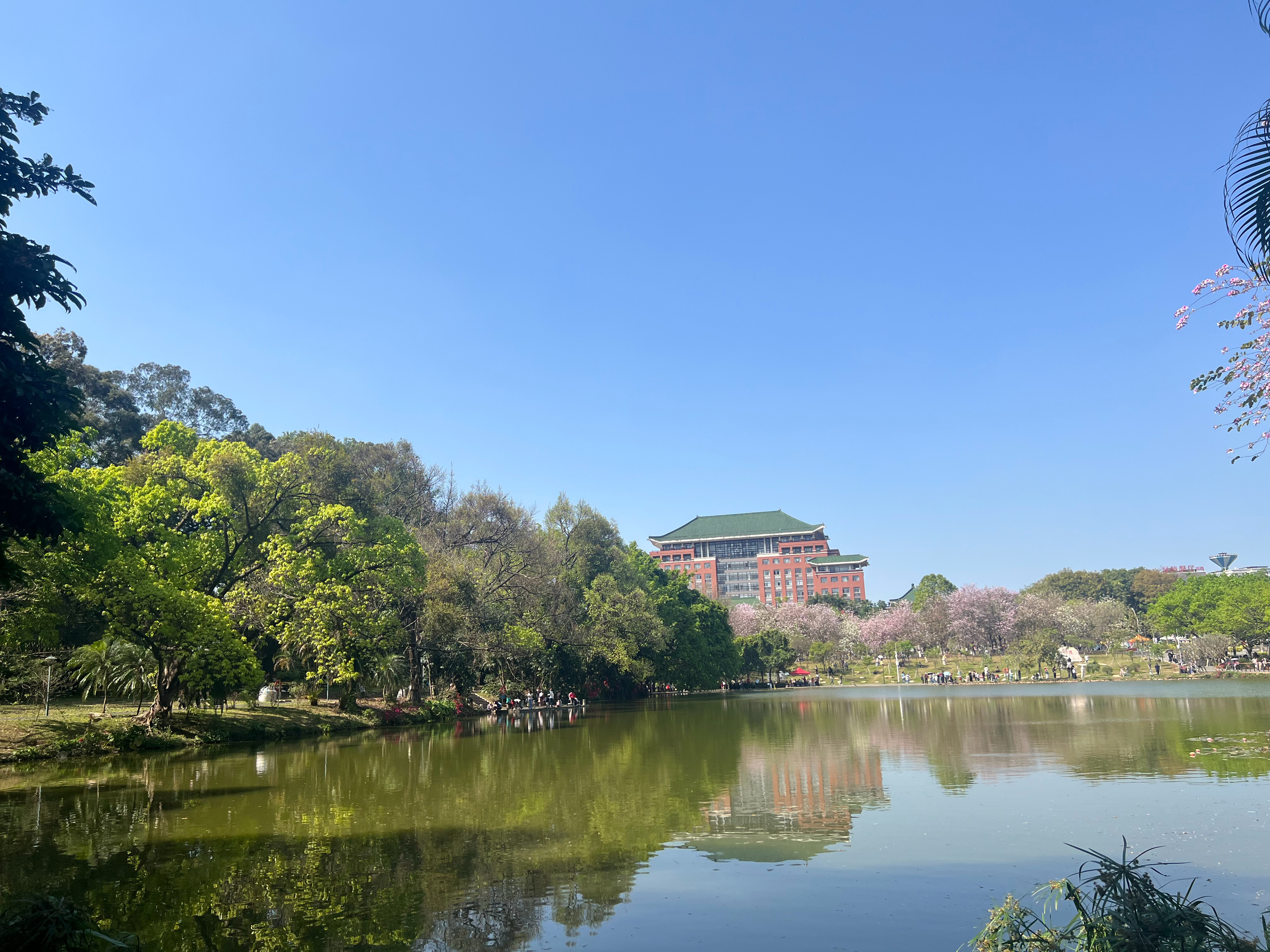 今天带米米去华农看看～华农实在太大了我走不动了终于看到休息的地方可以坐下来了原来