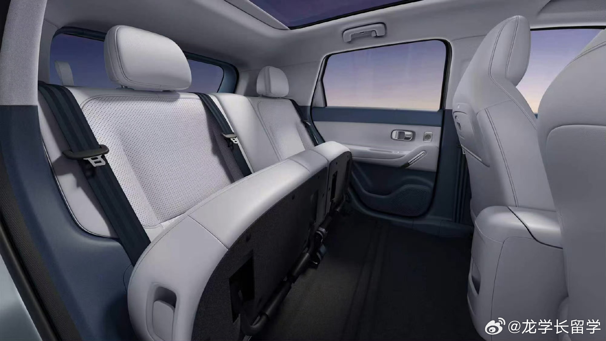 零跑A10野心很足，直接瞄准全球主流市场，还精准踩中宠物友好这个刚需切口，太懂养