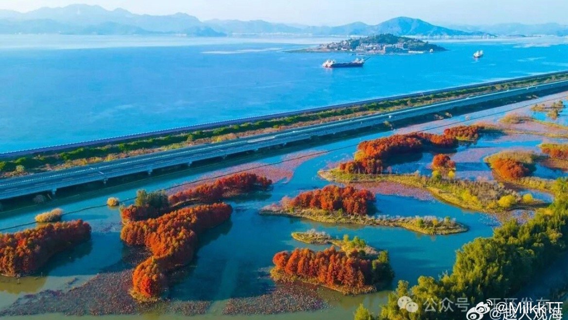 玉环漩门湾为候鸟打造幸福驿站玉环漩门湾湿地生态修复，候鸟种类大幅增加，绘就人与自