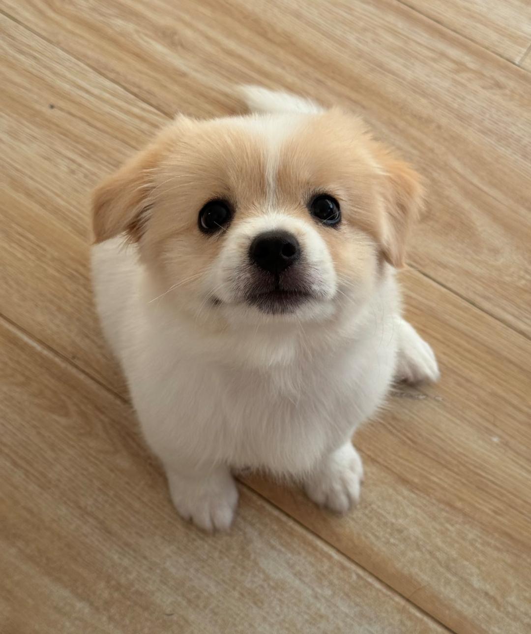 你们身边有没有这种人?
我家邻居，60岁退休后
自己一个人住，孩子们大了
老伴去