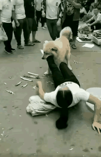 大家看这张图，第一反应是什么？如果是你，会怎么做、怎么说？