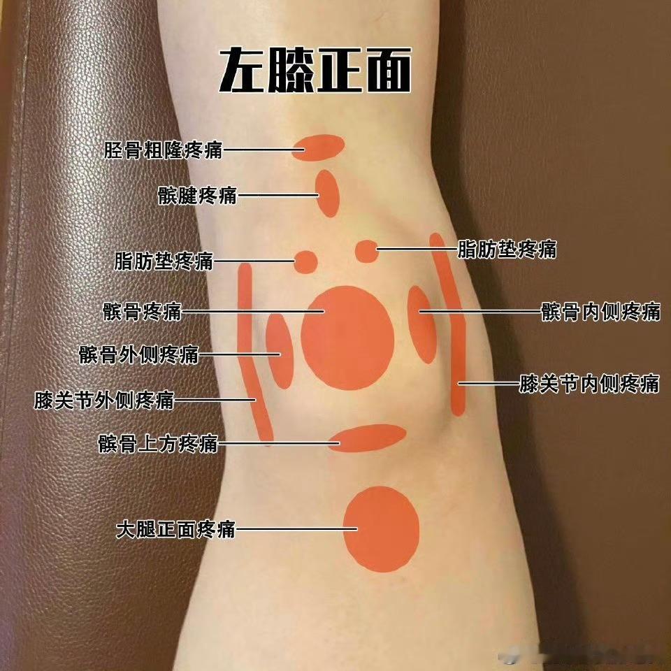 #疼痛# 【疼痛分类】一直讲损伤疼痛，比如膝盖疼、腰疼，要分辨究竟是什么样子的疼