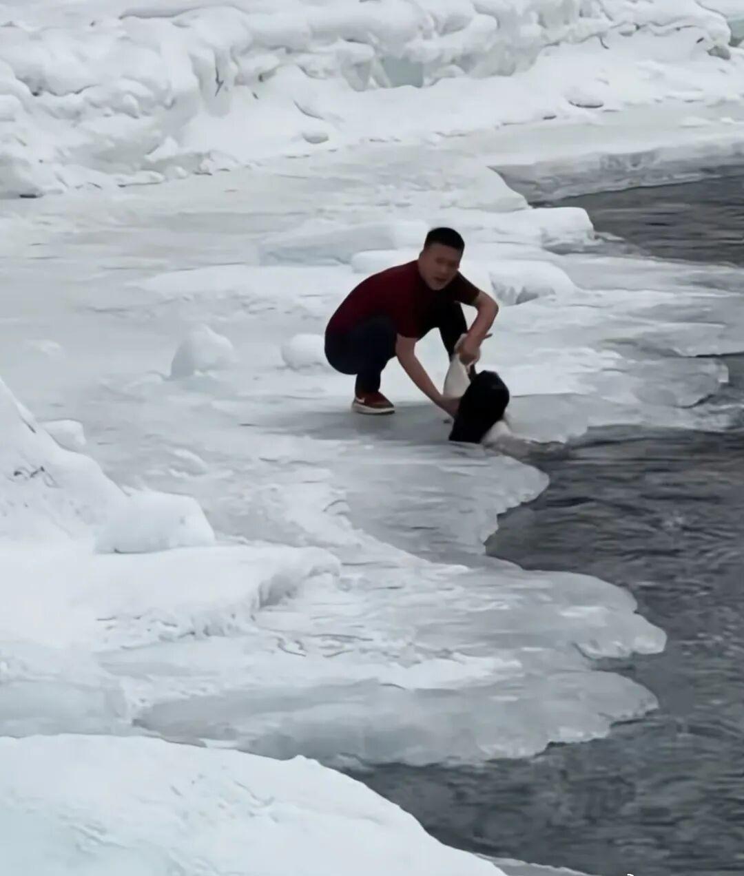 看得心都跟着揪起来了，真是有惊无险！
出去游玩还是要注意自身安全啊，
遇到冰面或