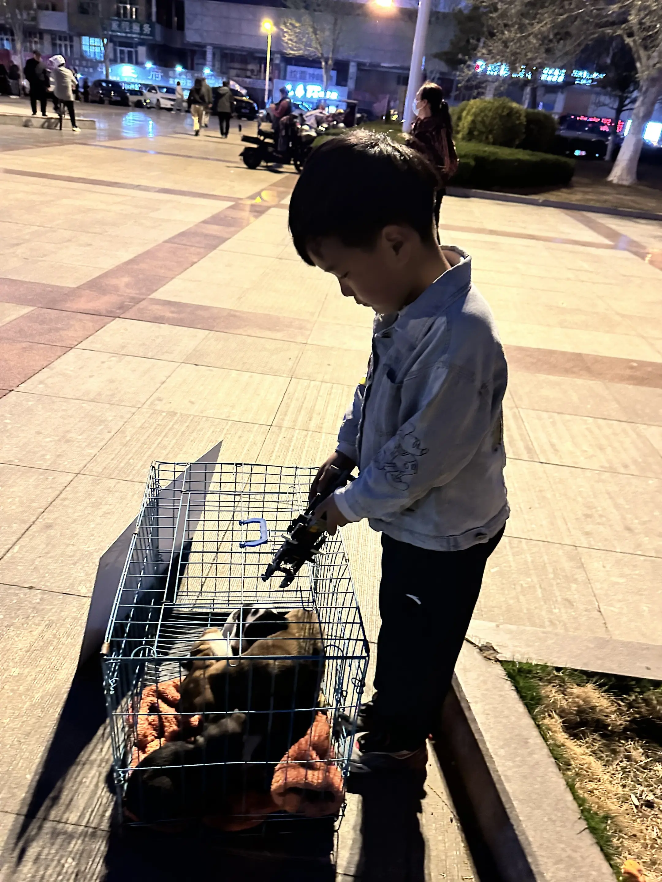 团购已经开启，下单发送核销码即可帮助。带着孩子来到人民广场，为小狗们寻...