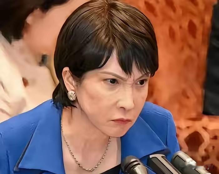 11月11日，日媒报道：日本政府计划从2026财年起上调外国游客签证费，现在单次