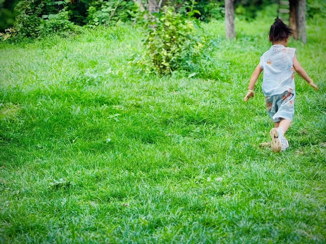 幼儿园的青青绿草地，是孩子们藏满欢乐的小天地。软软青草托着奔跑的小身影，大家追着