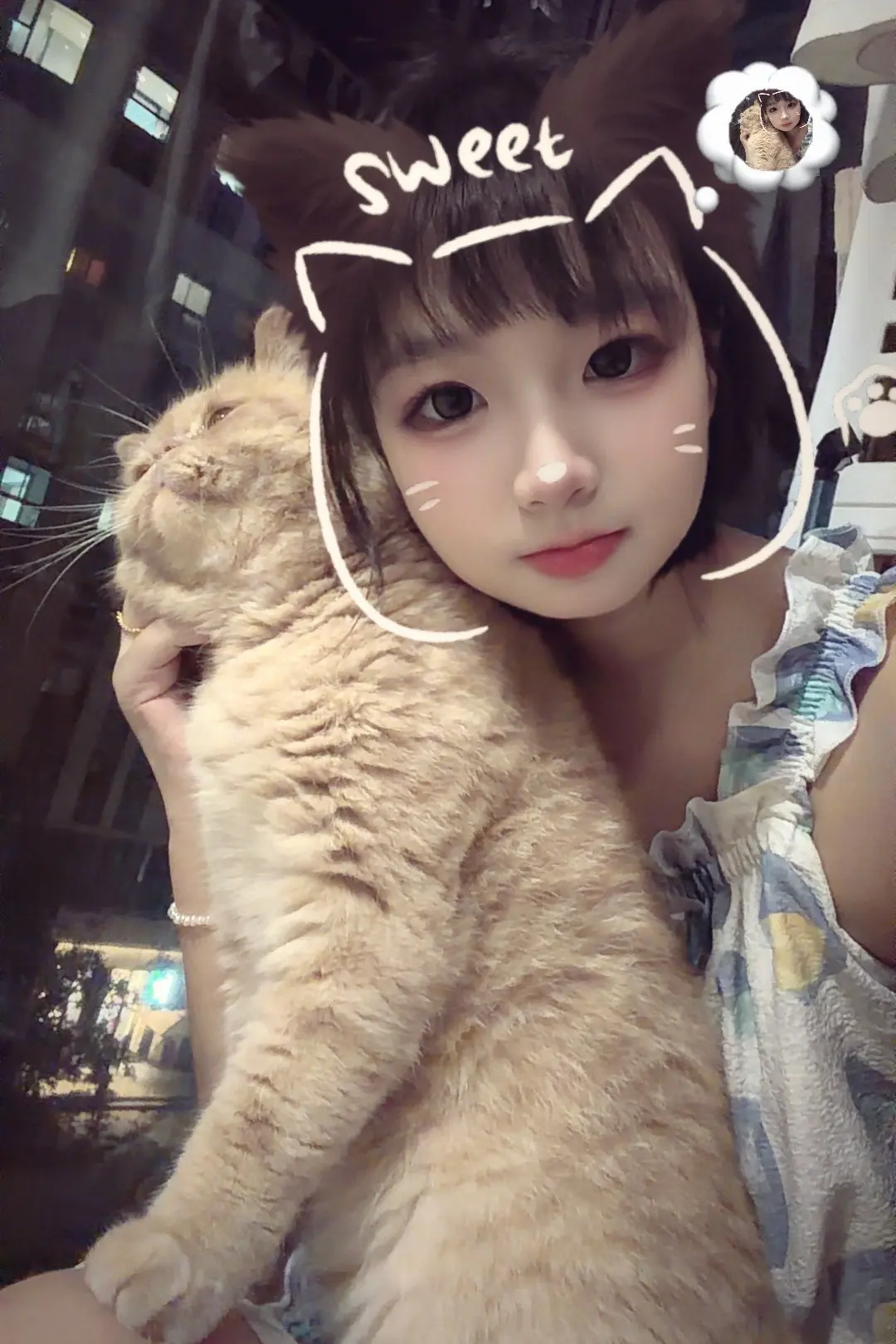 🐱